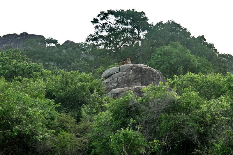 Sri Lanka, Yala National Park